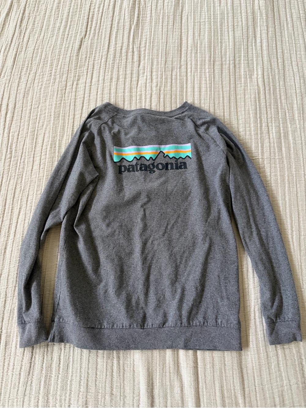 Patagonia Men’s Heather Gray Crewneck Sweatshirt with Teal & Yellow Logo